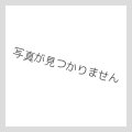 [EX+]秘儀の印鑑/Arcane Signet《日本語》【ONC】