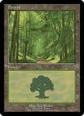 森/Forest《英語》【EURO2】