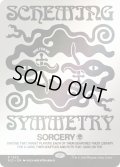 (1520)対称な対応/Scheming Symmetry《英語》【SLD】