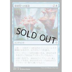 画像1: 珊瑚兜への撤退/Retreat to Coralhelm《日本語》【BFZ】