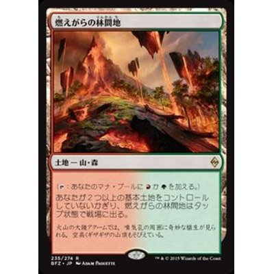 燃えがらの林間地/Cinder Glade《日本語》【BFZ】