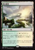 [EX+]梢の眺望/Canopy Vista《英語》【BFZ】