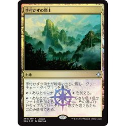 画像1: [EX+](FOIL)手付かずの領土/Unclaimed Territory《日本語》【League Promos】