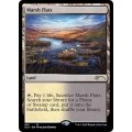 [EX]湿地の干潟/Marsh Flats《英語》【SLU】
