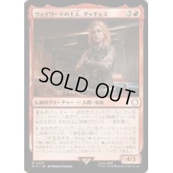 画像1: (FOIL)ウェイワードの主人、ダッチェス/Duchess, Wayward Tavernkeep《日本語》【PIP】