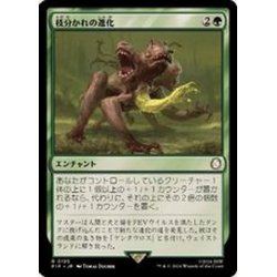 画像1: (FOIL)枝分かれの進化/Branching Evolution《日本語》【PIP】