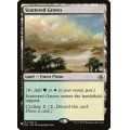 [EX+]まばらな木立ち/Scattered Groves《英語》【Reprint Cards(Secret Lair Commander)】