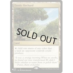 画像1: [EX+](C21)風変わりな果樹園/Exotic Orchard《英語》【Reprint Cards(Secret Lair Commander)】