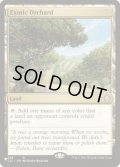 (C21)風変わりな果樹園/Exotic Orchard《英語》【Reprint Cards(Secret Lair Commander)】