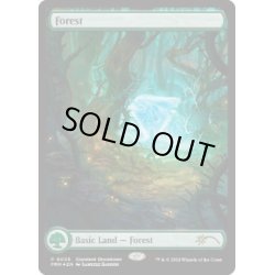 画像1: [EX+](FOIL)(2024年)(Showdown)森/Forest《英語》【PRM】