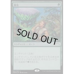 画像1: [EX+](FOIL)繁茂/Wild Growth《日本語》【Media Promos】