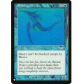 [EX+]変容スリヴァー/Shifting Sliver《英語》【Reprint Cards(The List)】