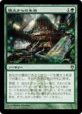 [EX]壌土からの生命/Life from the Loam《日本語》【Duel Decks: Izzet vs. Golgari】