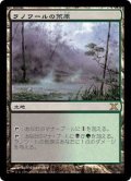 [EX+]ラノワールの荒原/Llanowar Wastes《日本語》【10E】