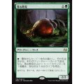 [EX+]漁る軟泥/Scavenging Ooze《日本語》【MM3】