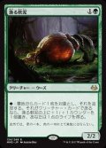 [EX+]漁る軟泥/Scavenging Ooze《日本語》【MM3】