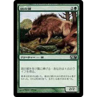 [EX+]斑の猪/Brindle Boar《日本語》【M11】