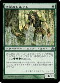 [EX]遺産のドルイド/Heritage Druid《日本語》【MOR】