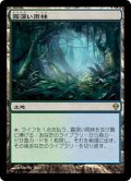 霧深い雨林/Misty Rainforest《日本語》【ZEN】
