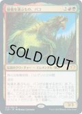 (FOIL)秘儀を運ぶもの、パコ/Pako, Arcane Retriever《英語》【Commander 2020】