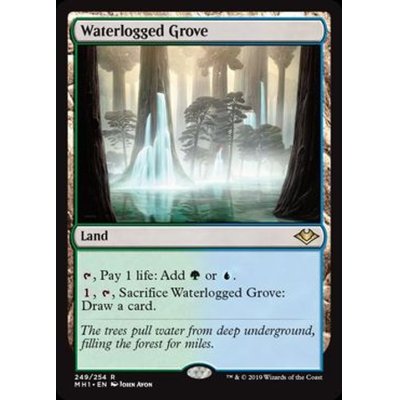 [EX+](FOIL)冠水樹林帯/Waterlogged Grove《英語》【MH1】