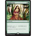 [EX+]女魔術師の存在/Enchantress's Presence《日本語》【Commander 2018】