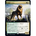 (フルアート)青銅皮ライオン/Bronzehide Lion《日本語》【THB】