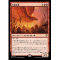 [EX+]火掻き鷹/Pyreswipe Hawk《日本語》【BLC】