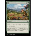 探検/Explore《日本語》【BLC】