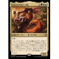 (FOIL)フォックスグローブ氏/Mr. Foxglove《日本語》【BLC】