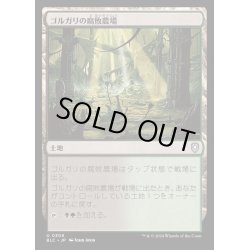 画像1: [EX+]ゴルガリの腐敗農場/Golgari Rot Farm《日本語》【BLC】