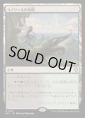 [EX+]ラノワールの荒原/Llanowar Wastes《日本語》【BLC】