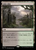 森林の墓地/Woodland Cemetery《日本語》【BLC】