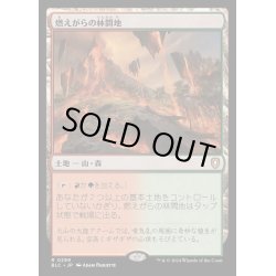 画像1: [EX+]燃えがらの林間地/Cinder Glade《日本語》【BLC】