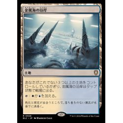 画像1: 金属海の沿岸/Seachrome Coast《日本語》【BLC】