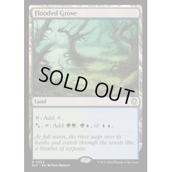 画像1: [EX+]溢れかえる果樹園/Flooded Grove《英語》【BLC】