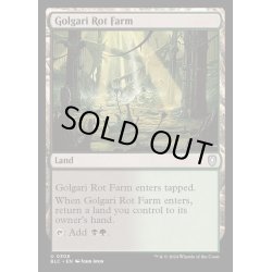 画像1: [EX+]ゴルガリの腐敗農場/Golgari Rot Farm《英語》【BLC】