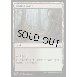 画像1: [EX+]汚れた森/Tainted Wood《英語》【BLC】