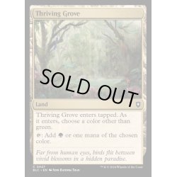 画像1: [EX+]興隆する木立/Thriving Grove《英語》【BLC】