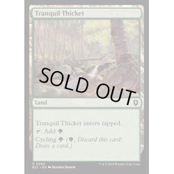 画像1: [EX+]平穏な茂み/Tranquil Thicket《英語》【BLC】