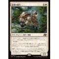 (FOIL)防壁の雄牛/Bulwark Ox《日本語》【DFT】