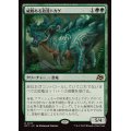 (FOIL)威厳ある放漫トカゲ/Regal Imperiosaur《日本語》【DFT】