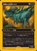 (ファーストプレイスFOIL)威厳ある放漫トカゲ/Regal Imperiosaur《日本語》【DFT】