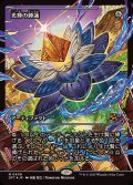 (FOIL)(ショーケース枠)光輝の睡蓮/Radiant Lotus《日本語》【DFT】