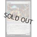 (FOIL)切符亀/Ticket Tortoise《日本語》【DFT】