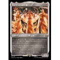 (エッチングFOIL)カピトリヌスの三神/The Capitoline Triad《日本語》【ACR】