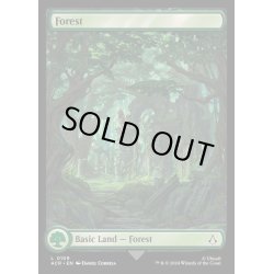 画像1: [EX+](FOIL)(フルアート)(0109)森/Forest《英語》【ACR】