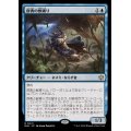 群青の獣縛り/Azure Beastbinder《日本語》【BLB】