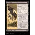 (FOIL)山賊の才能/Bandit's Talent《日本語》【BLB】