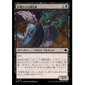 (FOIL)星明かりの真言者/Starlit Soothsayer《日本語》【BLB】